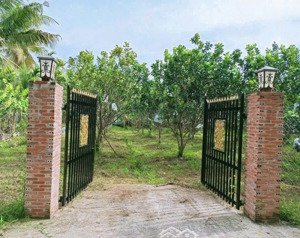 bán đất ở minh hưng, chơn thành, bình phước, giá tốt 280 triệu, 1300 m2 hot!