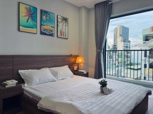 căn hộ dịch vụ diện tích 35m2 tại trần đình xu quận 1