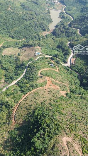 13,5 ha rsx cách hn 65km chỉ có hơn 200t/1ha