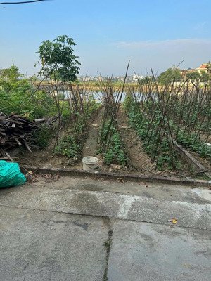 bán đất tại khu dân cư thạch khôi, 1,75 tỷ, 61,4 m2 giá cực chất