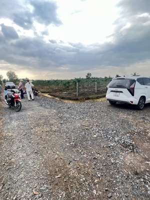 690tr/1015m2 đất vườn, đang trồng đu đủ, bến lức long an. đường ô tô tiện cất nhà vườn