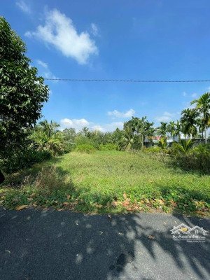 bán nền mặt tiền đường tỉnh 926 trường long tây hậu giang