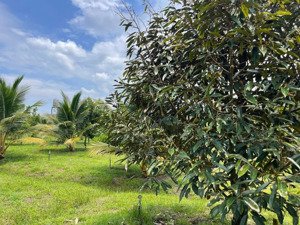 chủ cần bán nhanh gọn lô đất vườn giáp suối view hồ trị an giá rẻ tại la ngà đồng nai