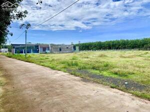 CẦN TIỀN BÁN GẤP 2010M2 ĐẤT MT LỚN NGAY KCN ĐANG HOẠT ĐỘNG NHỘN NHỊP, SÁT CHỢ, TR.HỌC DÂN ĐÔNG. GIÁ 180TR/LÔ