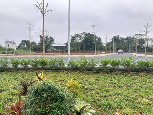 bán đất tại đường vai réo, xã phú cát, quốc oai, hà nội, 45 triệu / m2, 100 m2