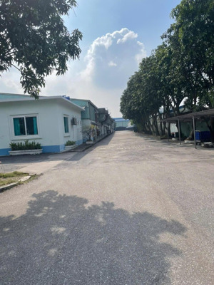cho thuê nhà xưởng tại bạch sam, mỹ hào, hưng yên 5000m2, pccc tự động, giá rẻ 78n/m2 