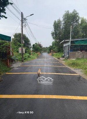 chính chủ bán lô đất phú an, tp. hcm 175m2 giá rẻ chỉ 1 tỷ 290