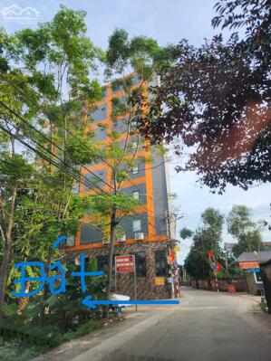 MẶT TRỤC CHÍNH ĐƯỜNG CỔ ĐÔNG, LÔ GÓC, 115M2, MT6M, ÔTÔ TRÁNH, CÁCH ĐHQG 1.5KM, METRO 500M