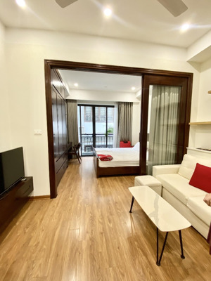 cho thuê căn hộ cao cấp 40m2 1n1k full đồ ngõ 19 liễu giai