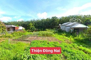 bán lỗ 2sổ (11x52=512m2)thổ cư sổ riêng dân cư sầm uất tại chợ an khương phường bình long gía 275tr