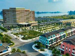 giỏ hàng siêu rẻ cho nđt chọn lựa tại phương đông vân đồn