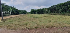 bán đất dầu giây - ngân hàng hỗ trợ cho vay 400tr