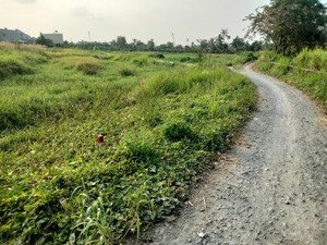 bán đất thổ cư 182m2 xã bình mỹ- xây dựng ngay