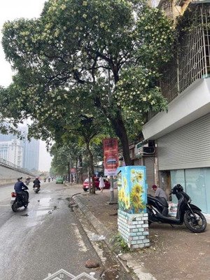 chính chủ bán đất mặt đường kim mã lô góc 2 thoáng mặt tiền 7m hiếm có khó tìm