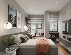 bán gấp căn hộ the ninety complex 66m² 2pn full nội thất, giá 7,36 tỷ