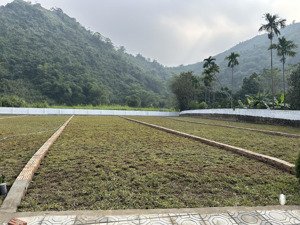 đất phân lô cư yên, lương sơn, hòa bình phân khúc 2 tỷ