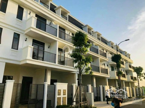 suất đầu tư hiếm có khó tìm nhà phố ngang 5m dự án la vida residences vũng tàu