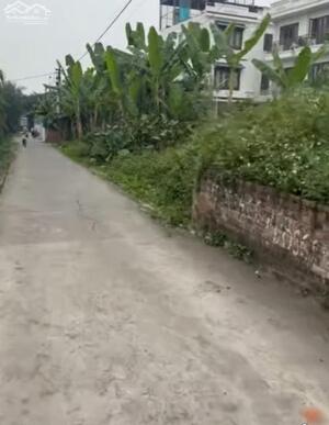 Bán đất 97,5m2 Văn Cú An Dương Hải Phòng