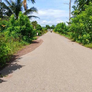 bán đất tại đường 47, xã nghĩa thành, châu đức, bà rịa vũng tàu, 1,3 tỷ, 223.6 m2 - hàng hiếm