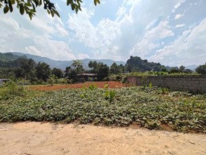 430 tr 125m² full thổ cư châu dể, cao dương, lương sơn (hòa bình)