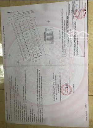 chính chủ bán nền biệt thự góc 2 mặt tiền duy nhất đẹp nhất kdc hamt -giá cực tốt - chỉ 135tr/m2