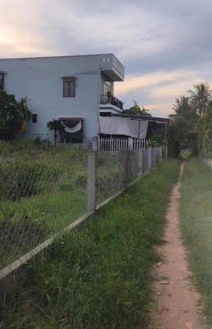 bán đất tại thôn trà quế, cẩm hà, hội an, 8,4 tỷ, 240m2, giá tốt