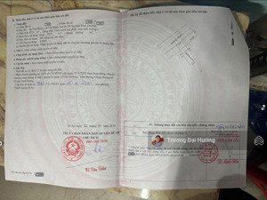 bán đất mặt tiền đường chùa tân long p.tân bình, tp.dĩ an - 2ty8 tl