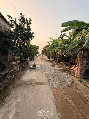 bán đất tại xã tân dân, khoái châu, hưng yên, 4,68 tỷ, 250 m2 (có thế chia 2). giá giảm kịch sàn