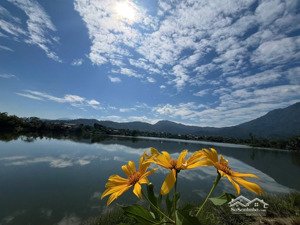 đất đẹp view cánh đồng thoáng mát, 2 mặt tiền, vị trí gần hồ đẹp chuẩn như trong ảnh, cách chợ 150m