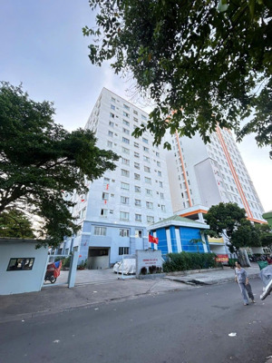 bán căn hộ chung cư bông sao phường 5, q8.