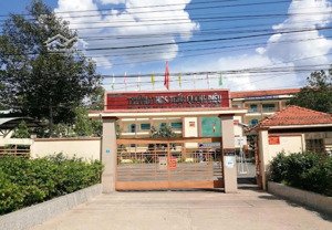 chính chủ bán 420m2 sẵn thổ cư 100m2 ngay đối diện trường thpt trần quang diệu, tân hiệp, giá 880tr