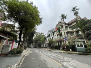biệt thự phố bùi xuân phái mỹ đình 200m2 mt 20m lô góc vàng, giá 120 tỷ cơ hội hiếm có