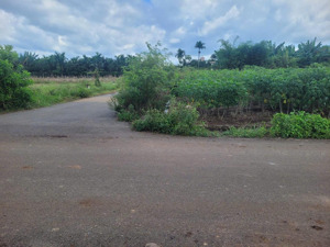 quyền sử dụng đất thuộc thửa đất số 139, tờ bản đồ số 78 tại xã nghĩa thành, thành phố hồ chí minh