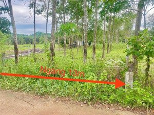 hạ bán gấp! khánh đông, khánh vĩnh, khánh hòa.
dt = 1.432,6 m2, có 400m2 thổ cư đường bê tông