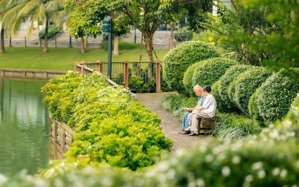 cơ hội sở hữu phân khu cuối cùng và cao cấp nhất cđt nhật bản