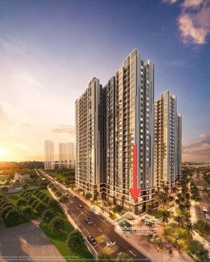 căn hiếm -góc ngã 3 măt đại lộ diện tích 70m2 -dòng tiền 840 triệu /năm chỉ 13.4 tỷ