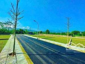 bán 2 lô góc hoa hâu tại sơn đông - lạc , giá chỉ 39 triệu / m2