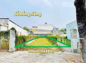 bấn gấp lô đất đường nguyễn thị rành, xã nhuận đức. dt 220m2 5x44. giá 1tỷ2 gần chợ- sổ hồng riêng