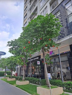 nắm chủ/ bán nhanh căn hộ tại the botanica , 57m2-2pn-4.5 tỷ- nội thất cao cấp