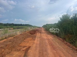 đất đường tuyến 4 mặt tiền đường 42 m hiện tại đường đang khởi công