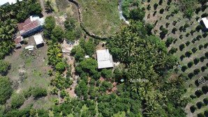 chính chủ bán gấp nền thổ cư 150m² cạnh sân bay long thành