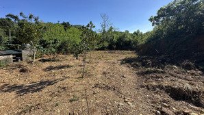 chỉ hơn 4tr/m bán 1237m/20 thổ cư tại yên xuân, hà nội