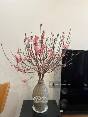 bán nhanh căn hộ cantavil an phú q2 - sổ hồng riêng - 98m2 - 3 phòng ngủ - 02 ban công dài thoáng