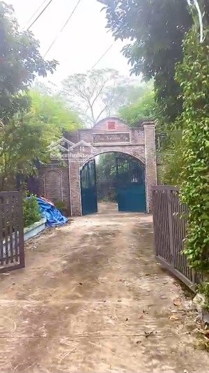 chính chủ bán đất vùng xuân mai: tổng 1542m2 gồm 305m2 thổ cư, 1237m2 cây lâu năm