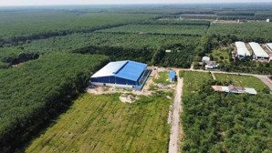 xưởng tại bàu bàng, bình dương, đất 15.055m2, xưởng 3.000m2, sẵn 3.000m2 skc, 30 tỷ, pccc vách