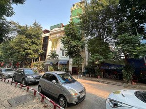 hàng hiếm! mặt phố trần quang diệu, đống đa, 357m2 mt 10m, giá 125tỷ. phù hợp xây toà vp, ksan