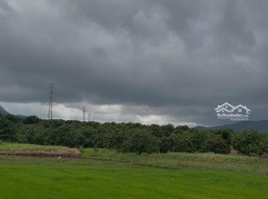 full xoài lâu năm, tân sinh tây cạnh khu dân cư giá siêu rẻ phù hợp đầu tư sinh lợi nhuận cao