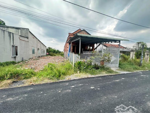 chính chủ bán 165m2 thổ cư ngay nguyễn du, an hòa, trảng bàng, vị trí trung tâm, shr, chỉ 700tr.