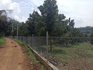 tôi cần bán 2 lô đất diện tích 400 m2 có 200 mét thổ cư ,sổ hồng riêng ,ngay khu dân cư.