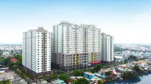 cần mua suất tái định cư giá tốt